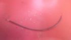 00940 Homelite Craftsman Hedge Trimmer Throttle Cable