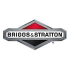 Bs-198347gs 198347gs Briggs Stratton Bs Pump