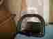35161005360 Echo New Oem Hedge Trimmer