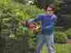 778664 Cordless Trimmer Hedger Lithium Yard Landscape Power Tools Battery Home Garden 715933466877