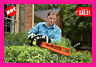 B01emc68ra Unbranded Volt Inch Hand Held Cordless Electric Hedge Trimmer Battery