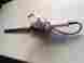 D1000 Little Wonder 16 Electric Hedge Trimmer