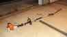 4180-011-5314 Km130r Pole Weed Stihl Eater Trimmer Hedge