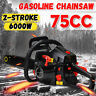 Rcl2332375 Gasoline Chainsaw Gas Powered Wood Cutting Chain Saw Cycle