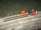 Th-262 Tanaka Professional Hedge Trimmer