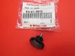 Kawasaki KBL;23 26 34, KHD600, KHS;1100 750, KHT;600 Air Filter Cover Bolt. Fixed Price $7.95.