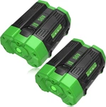 2-PACK 5000MAH 56 Volt Lithium Ion Battery Replacement For Ego Batteries Compati. Fixed Price $208.99.