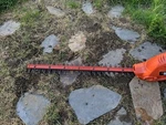 Black & Decker TR116 16-INCH Hedge Trimmer. Fixed Price $24.00.
