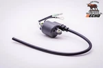 Genuine Oem Echo Ignition Coil Fits PB-410, PB-400 + More 15662602111. Fixed Price $104.53.