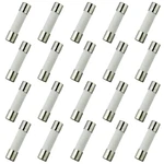Bojack F10AL250V Ceramic Fuses Fast-blow, 20 Pcs". Fixed Price $11.99.