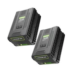 Pengjbatter 2 Packs 60V 5.0AH Lithium Battery Compatible For Greenworks B.... Fixed Price $185.00.