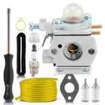 Carburetor For Craftsman WS2200 WC2200 WS210 WC210 P210 41AD25SC793 25CC 27CC St. Fixed Price $23.99.