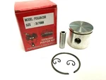 Poulan Xxv Micro Piston Kit 38.75MM Replaces Part # 530069553, Ships From Usa. Fixed Price $32.95.
